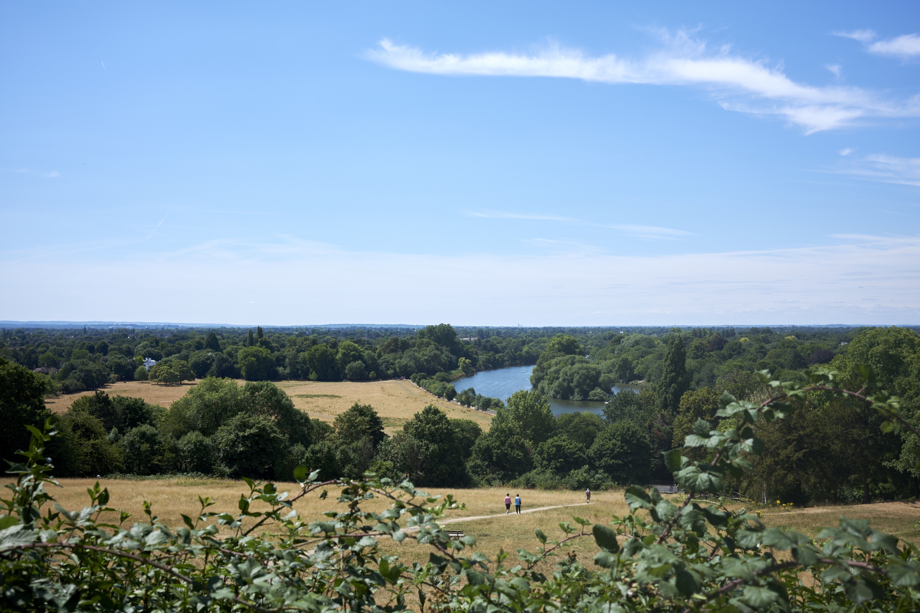 Waiting for the rain