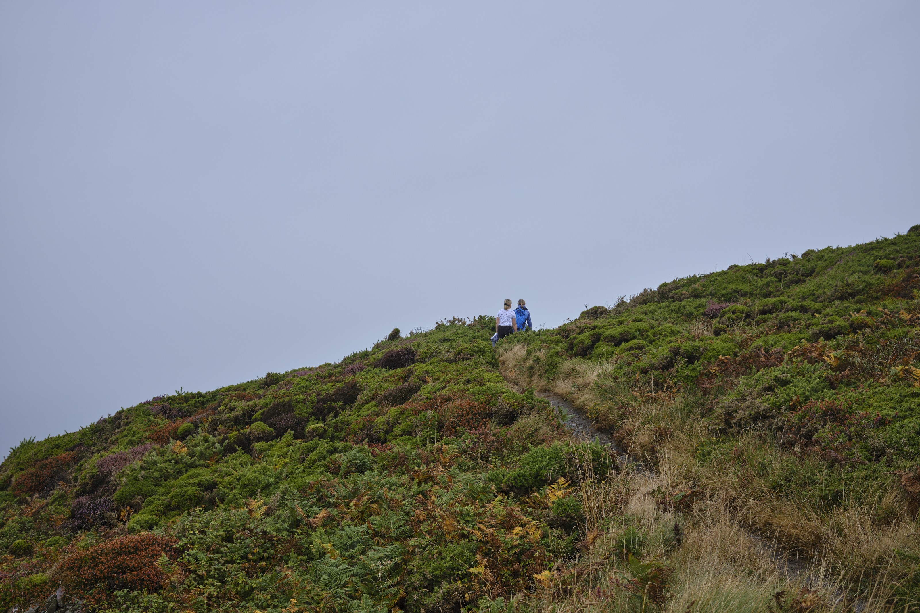 Cutting through the fog