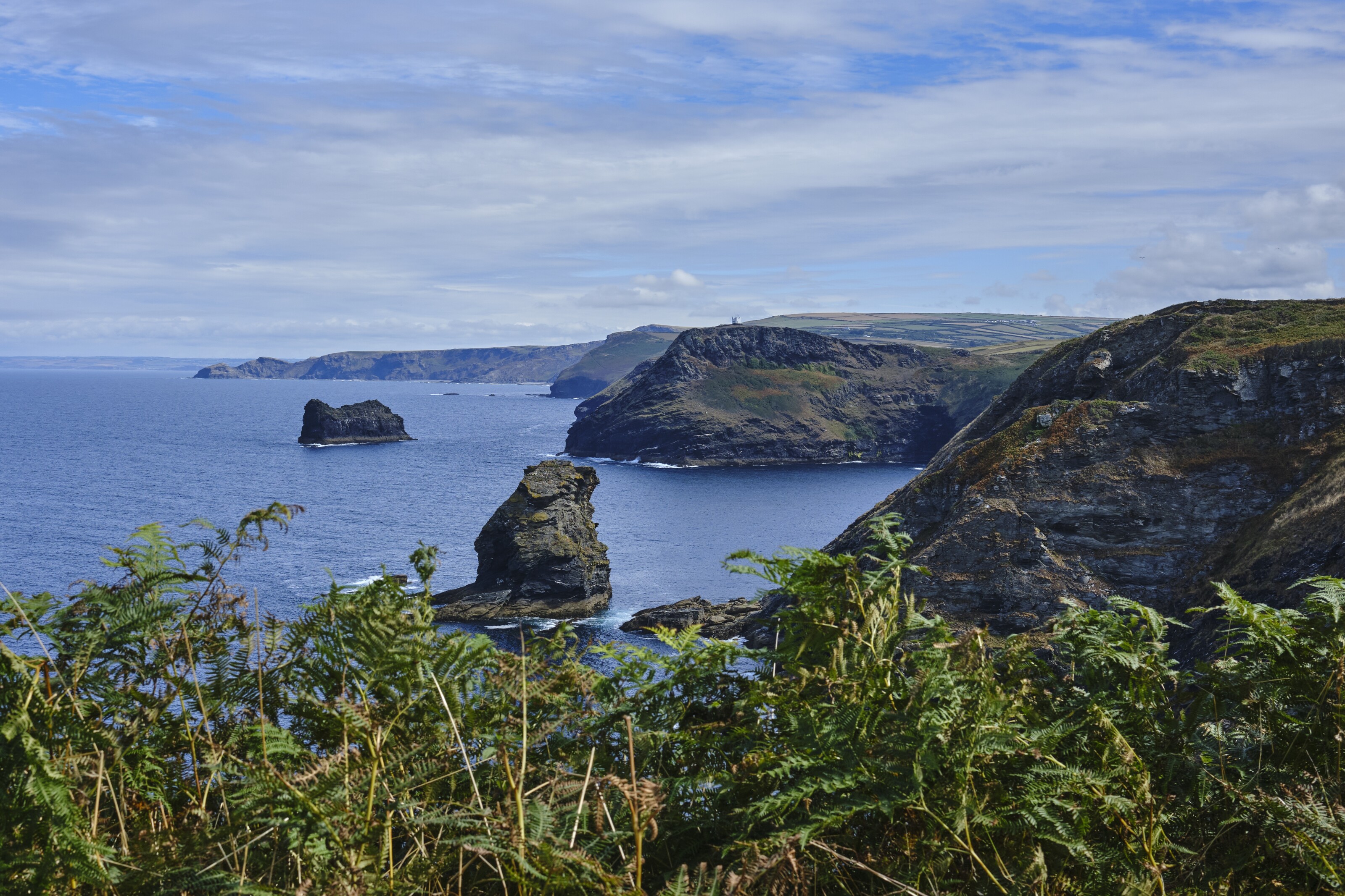 Welcome….to jurassic park