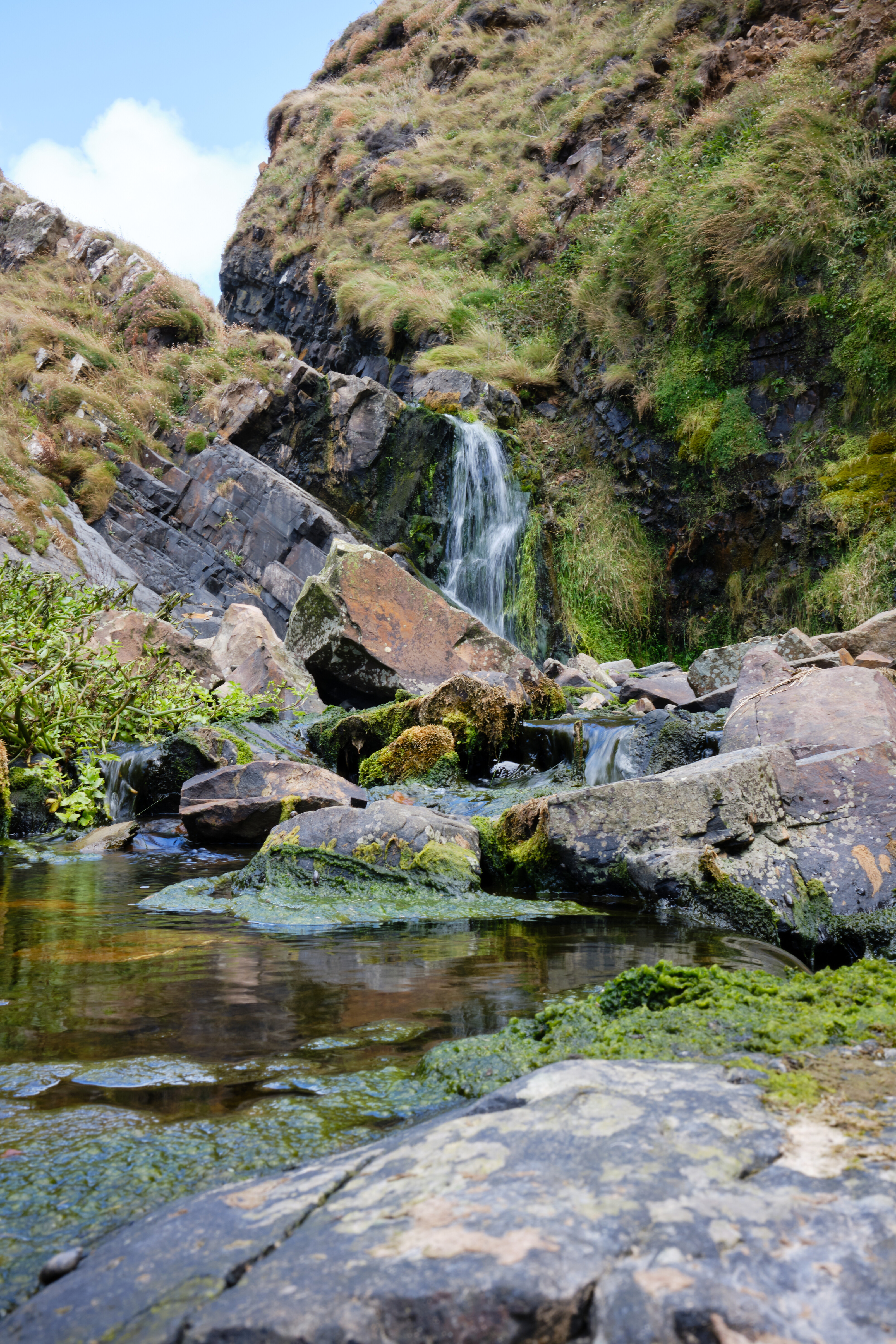 shall we go see the waterfall?