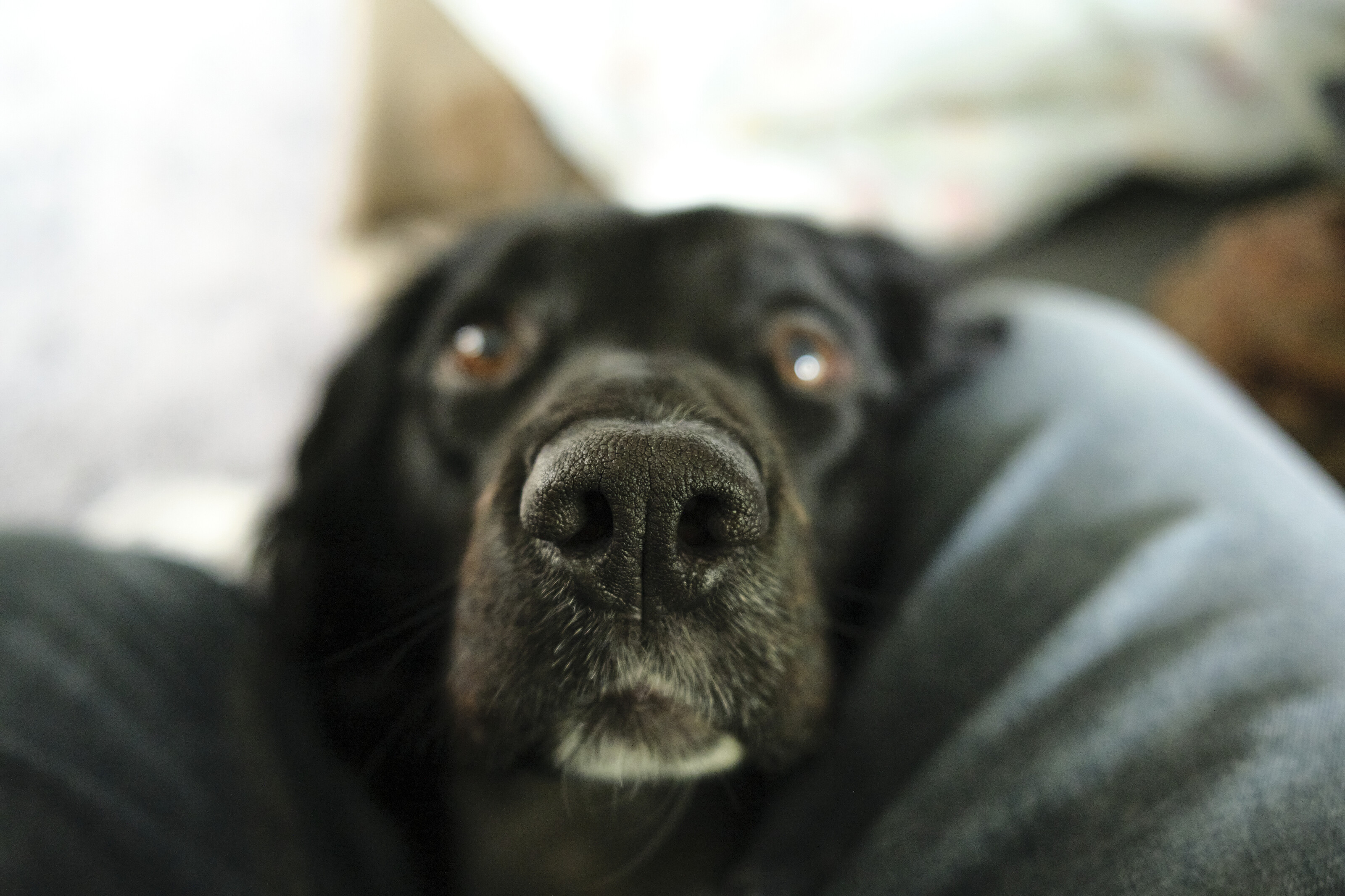 You are sitting in my place.