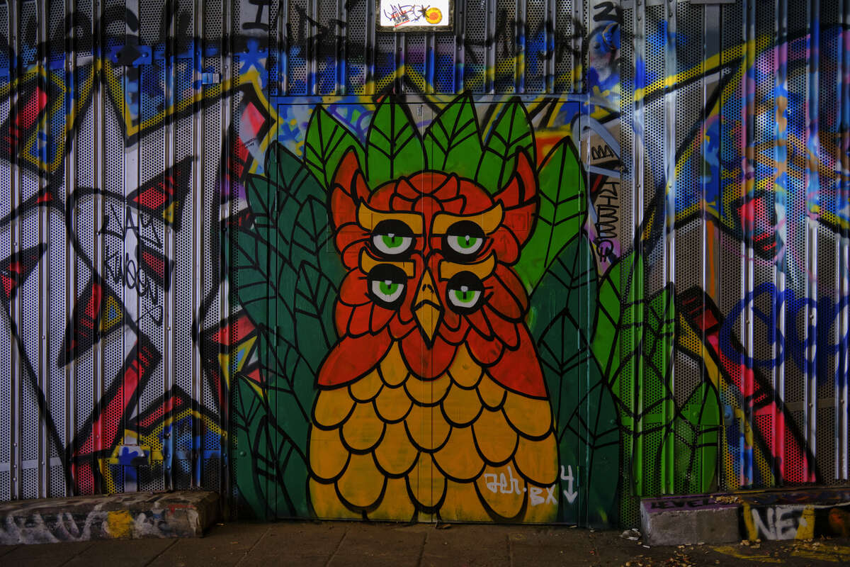 Graffiti owl judges you