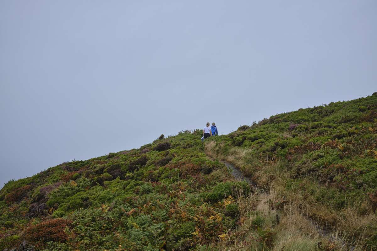 Cutting through the fog