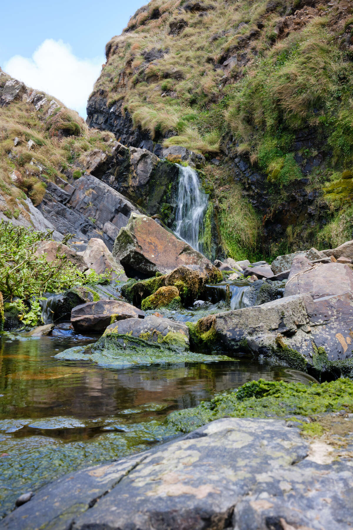 shall we go see the waterfall?