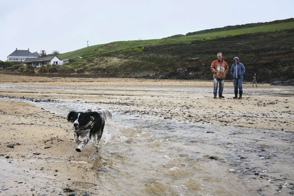 Poppy doing her zooms