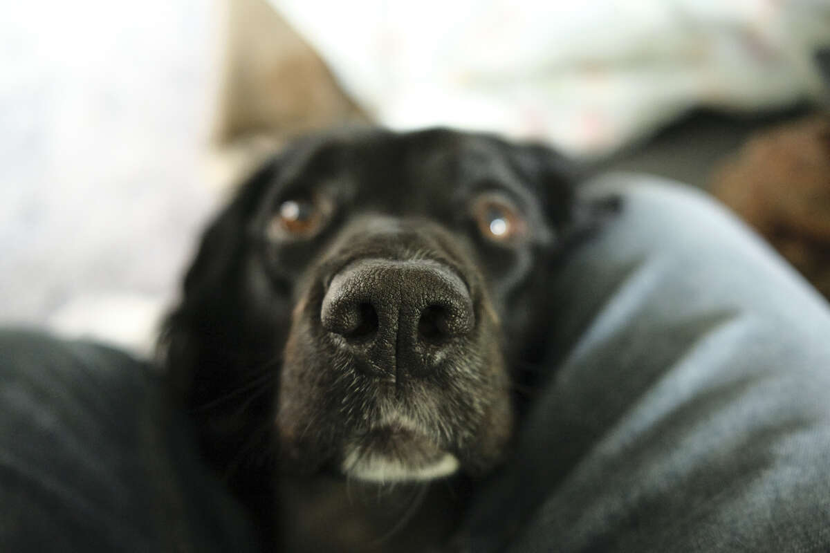 You are sitting in my place.